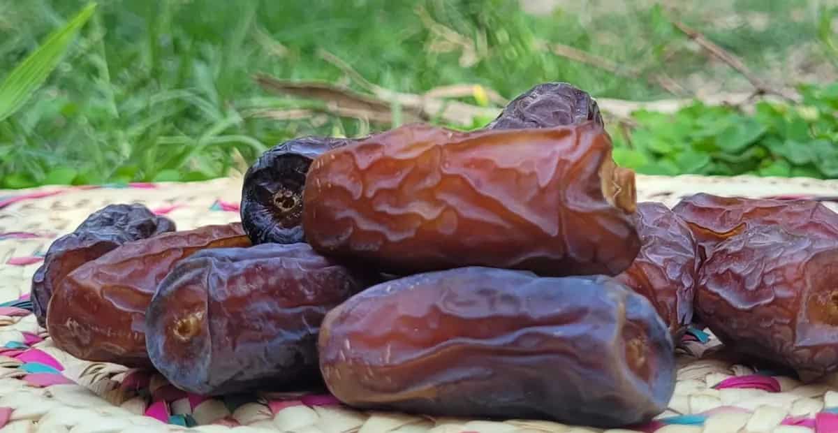 تصویر 3 از راهنما ی خرید خرما پیارم صادراتی + قیمت عالی